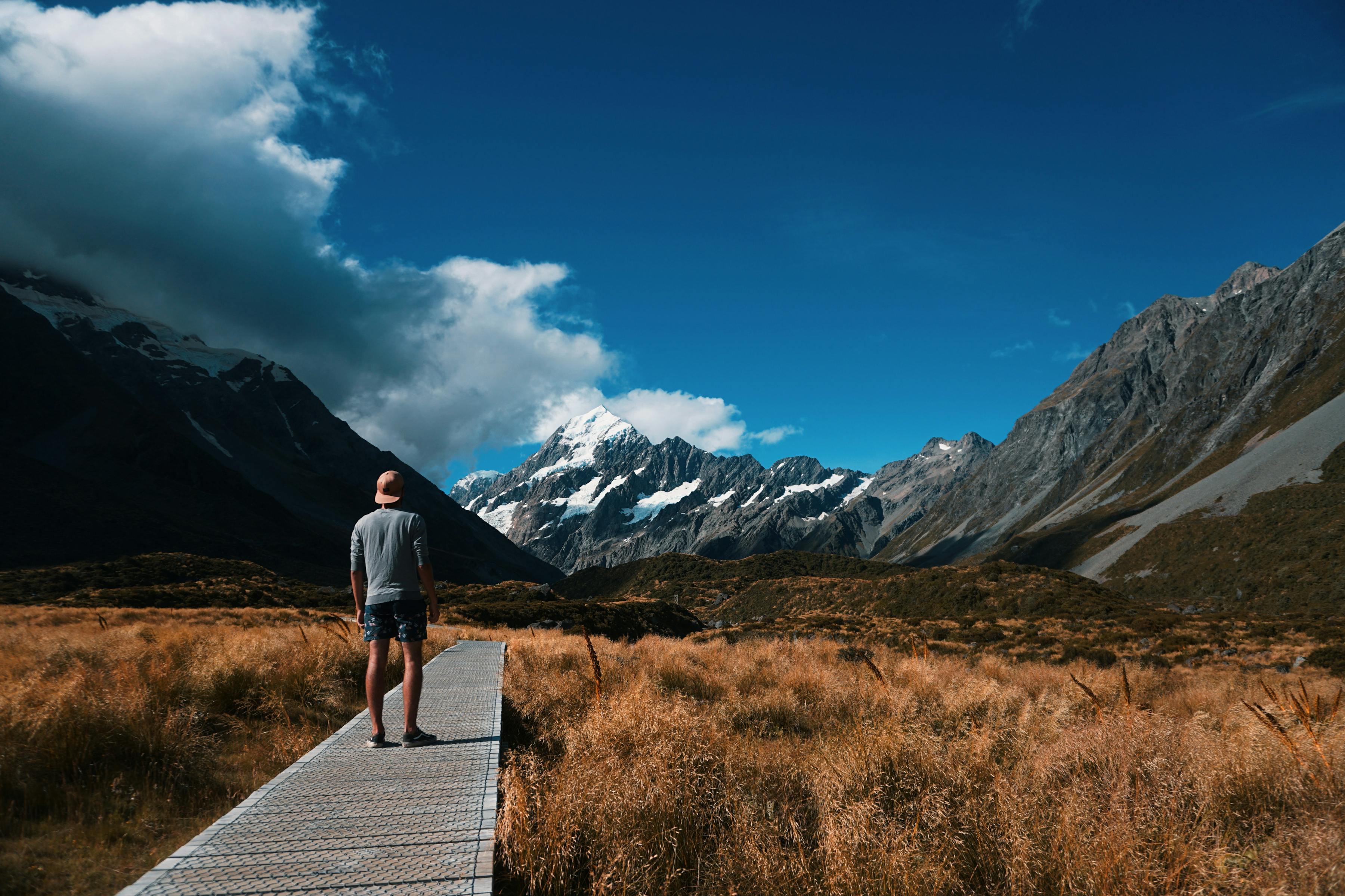 solo traveller tours new zealand
