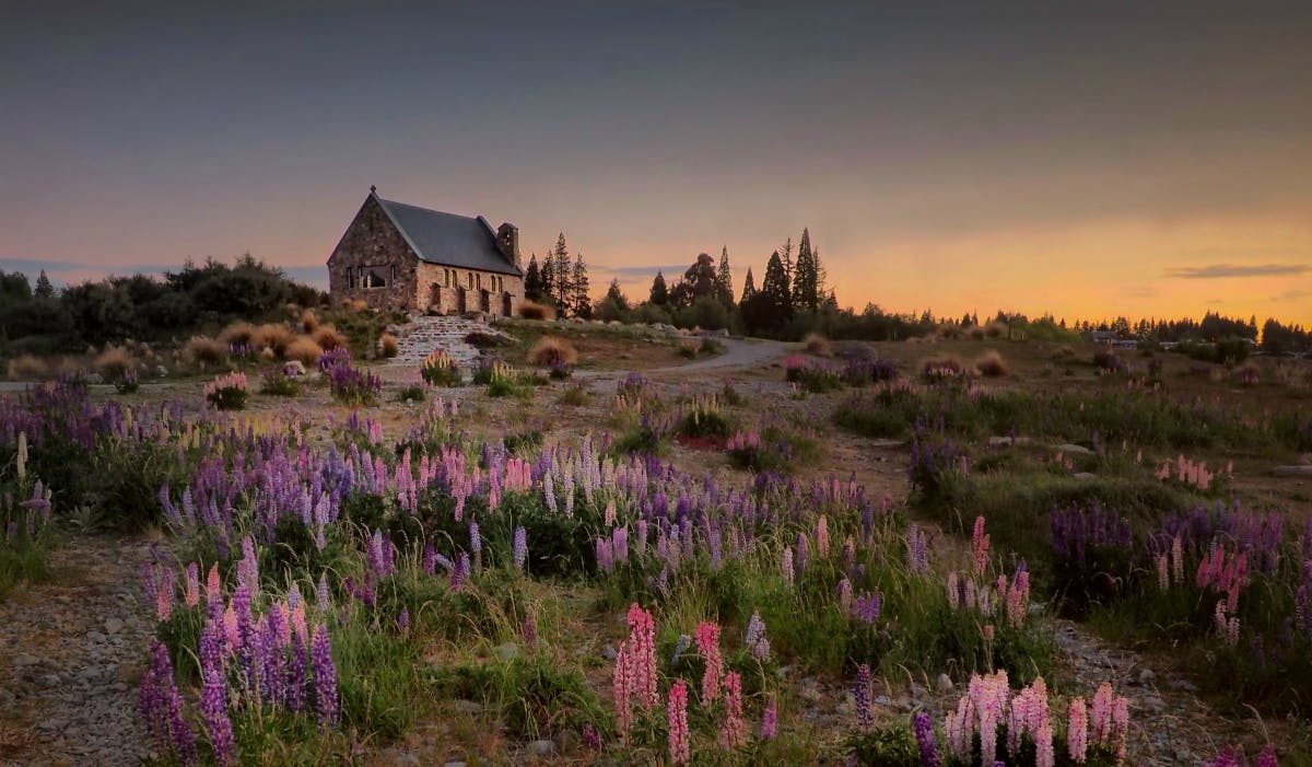 best new zealand sunsets