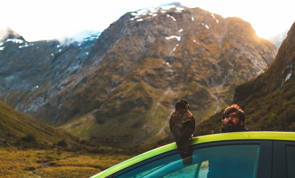 milford sound sunset