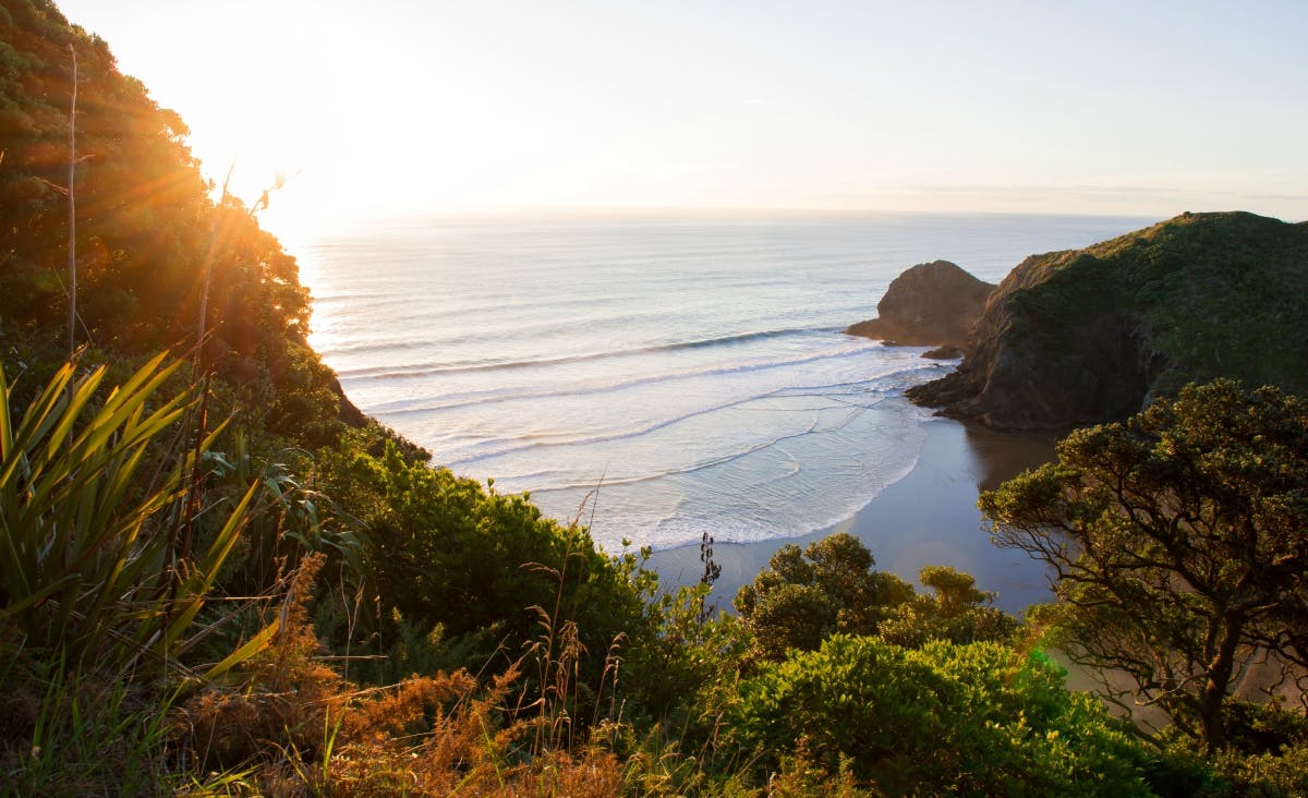 white's beach new zealand