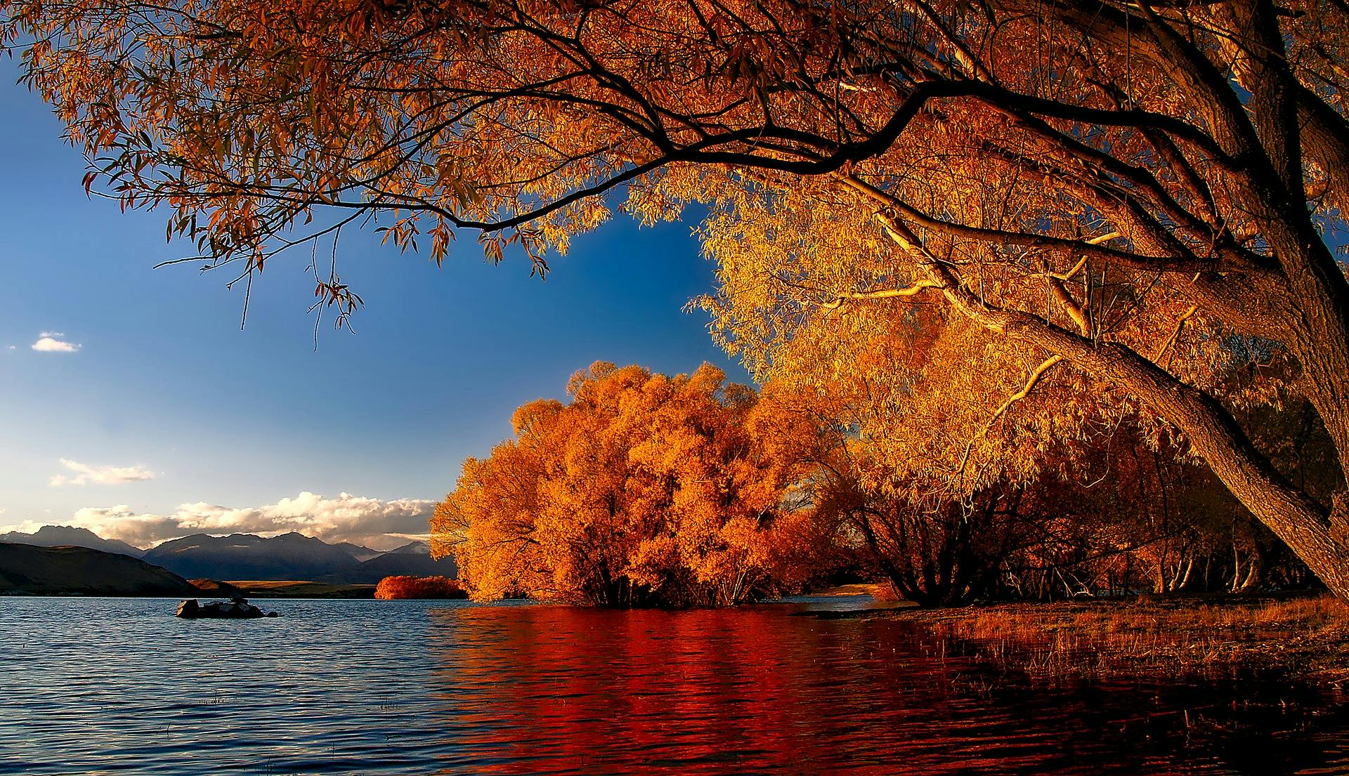 lake tekapo instagram selfie spot