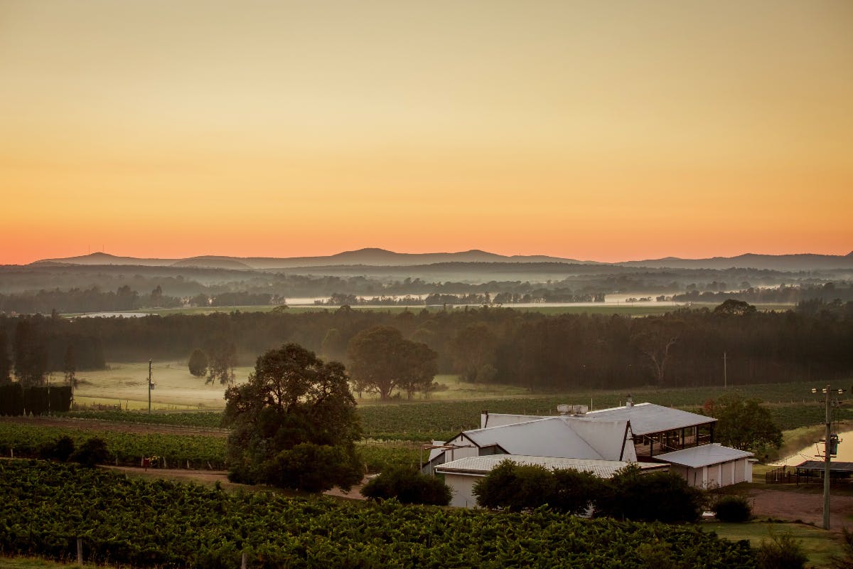 hunter valley wine region