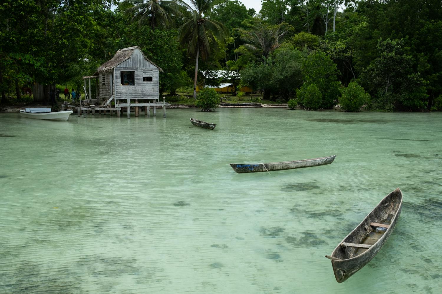 Boats on the water near a forest in the Solomon Islands.