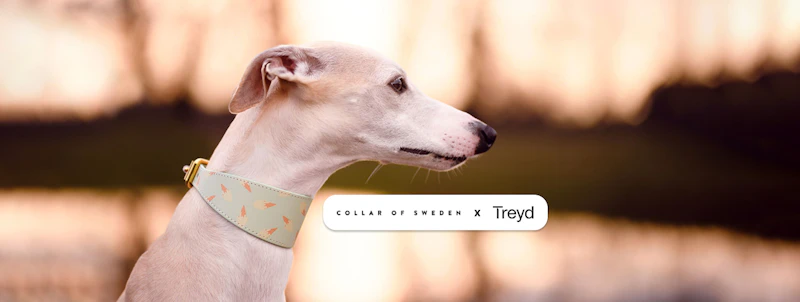 Collar of Sweden: Treyd kundcase