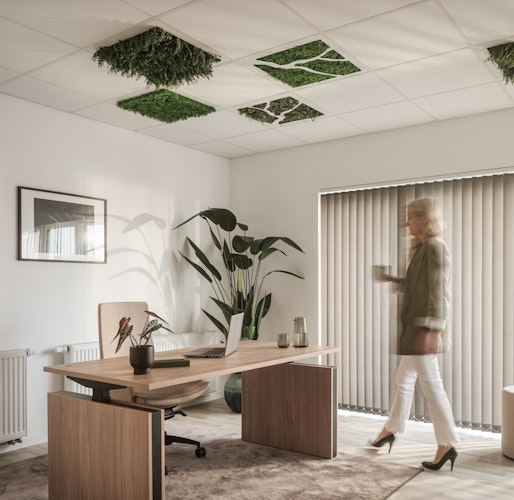 By Faux plants in office design