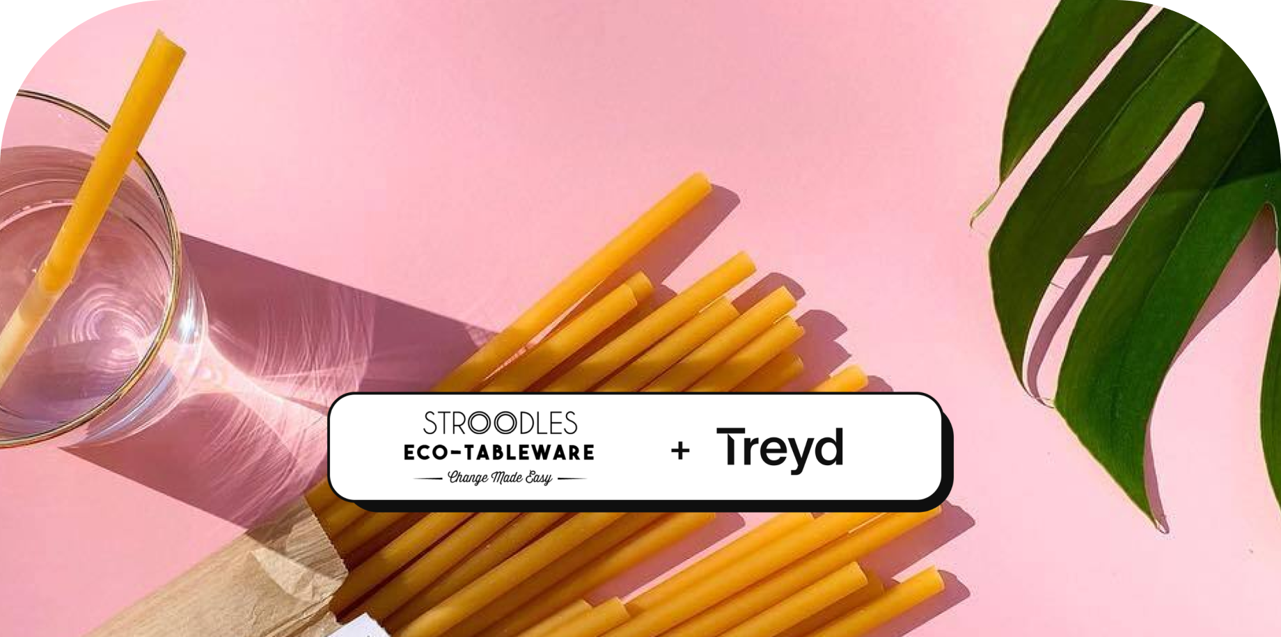 Stroodles x Treyd kundcase omslagsbild