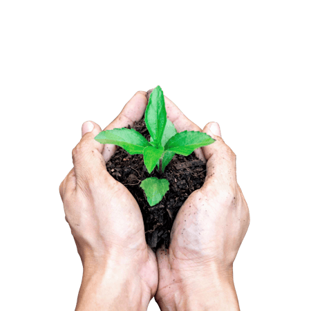 Discover Horticulture & Land Sciences