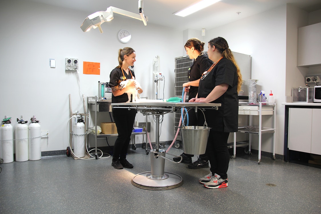 Campus Information Box Hill Institute