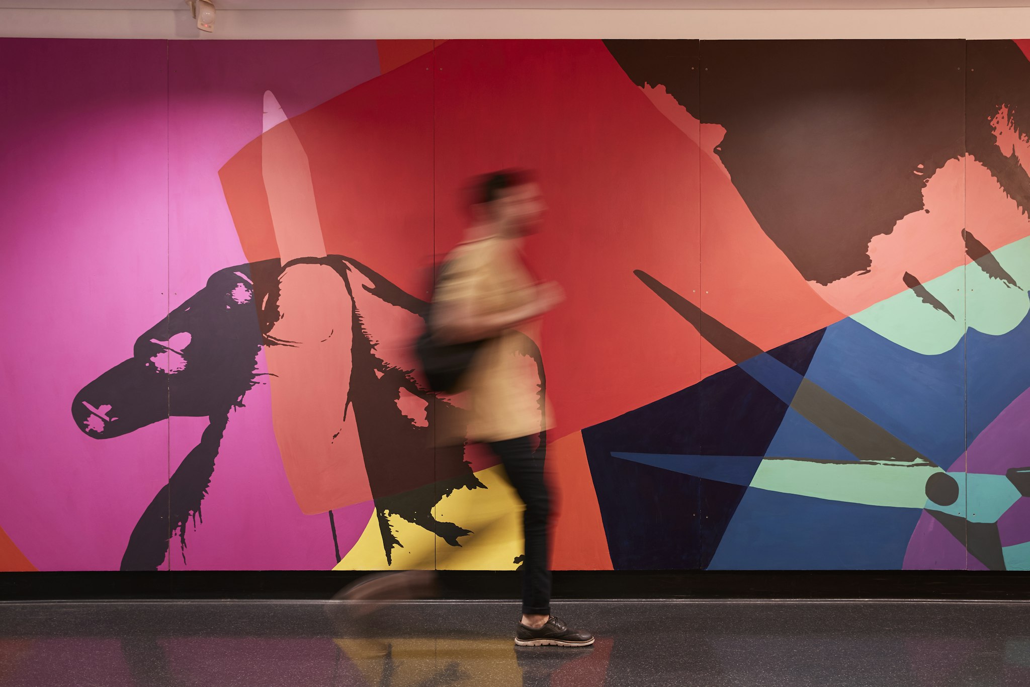 skills-first-reconnect-program-box-hill-institute-box-hill-institute