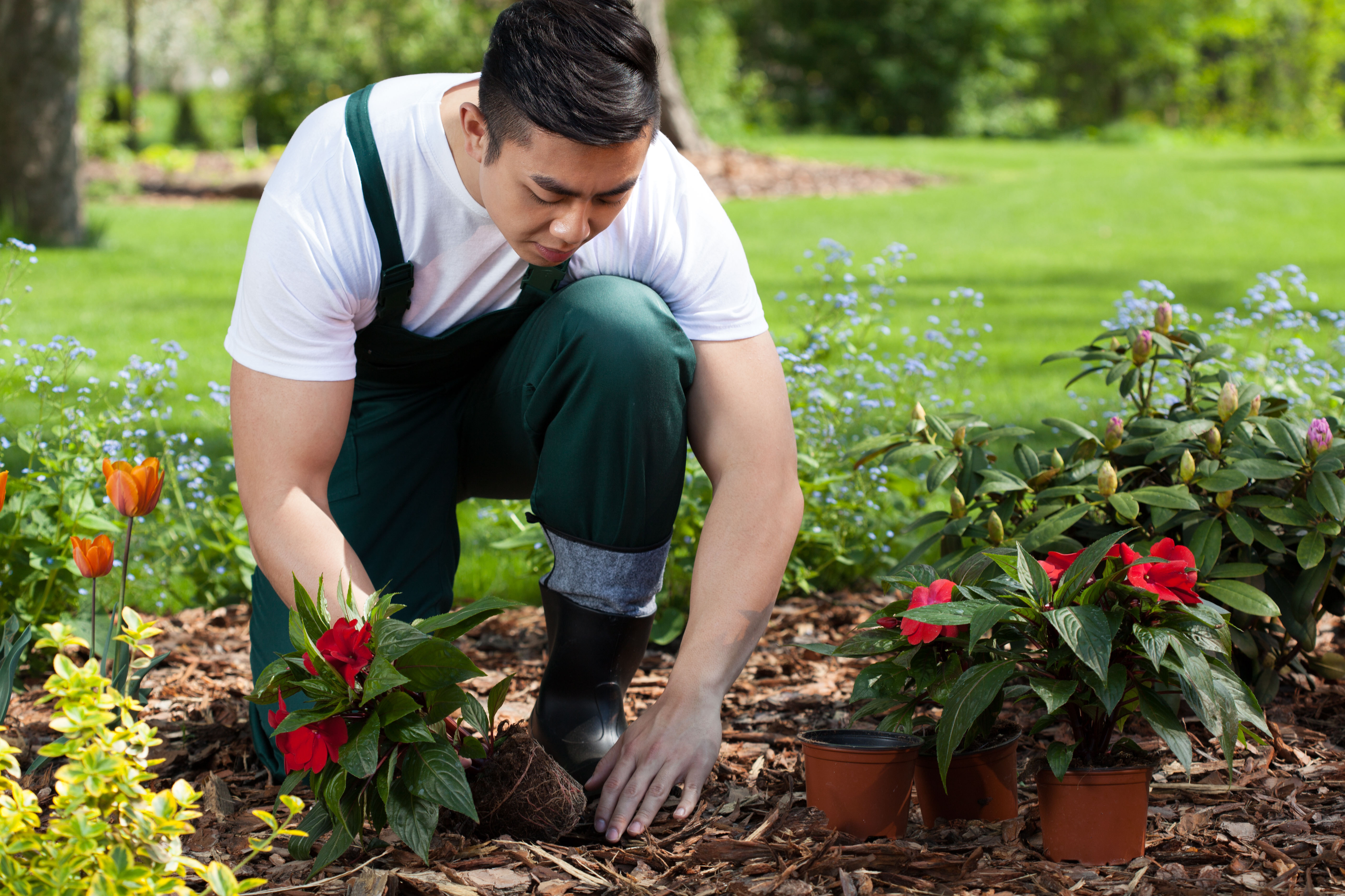 Horticulture student