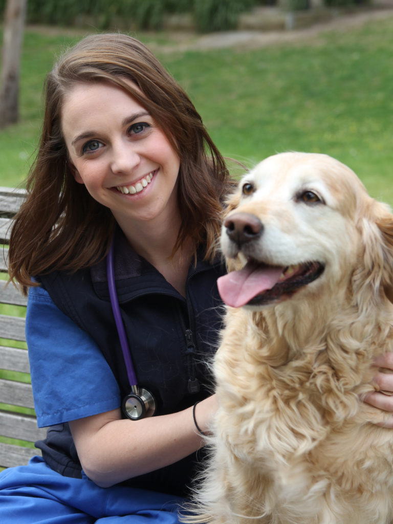 Animal Studies | Animal Studies Courses | Box Hill Institute | Box Hill Institute Animal Studies | Animal Studies Courses | Box Hill Institute | Box Hill Institute