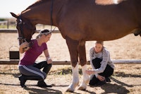 Animal Care
