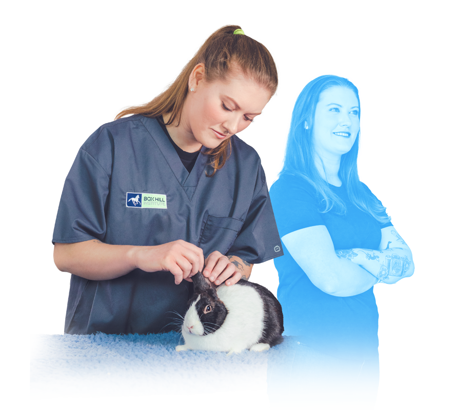 Animal Studies | Animal Studies Courses | Box Hill Institute | Box Hill Institute Animal Studies | Animal Studies Courses | Box Hill Institute | Box Hill Institute