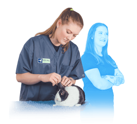 Discover Animal Care