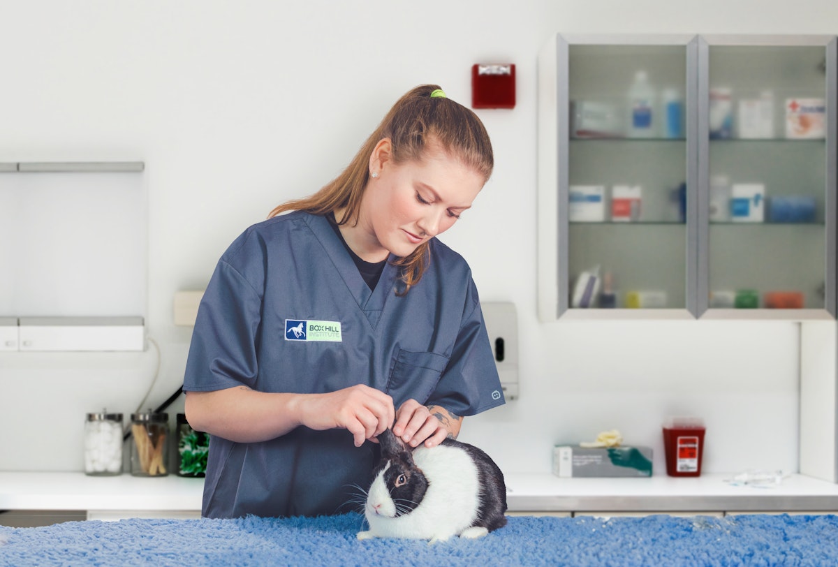 Jess TAFE Alumni Box Hill Institute Box Hill Institute jess-tafe-alumni-box-hill-institute-box-hill-institute