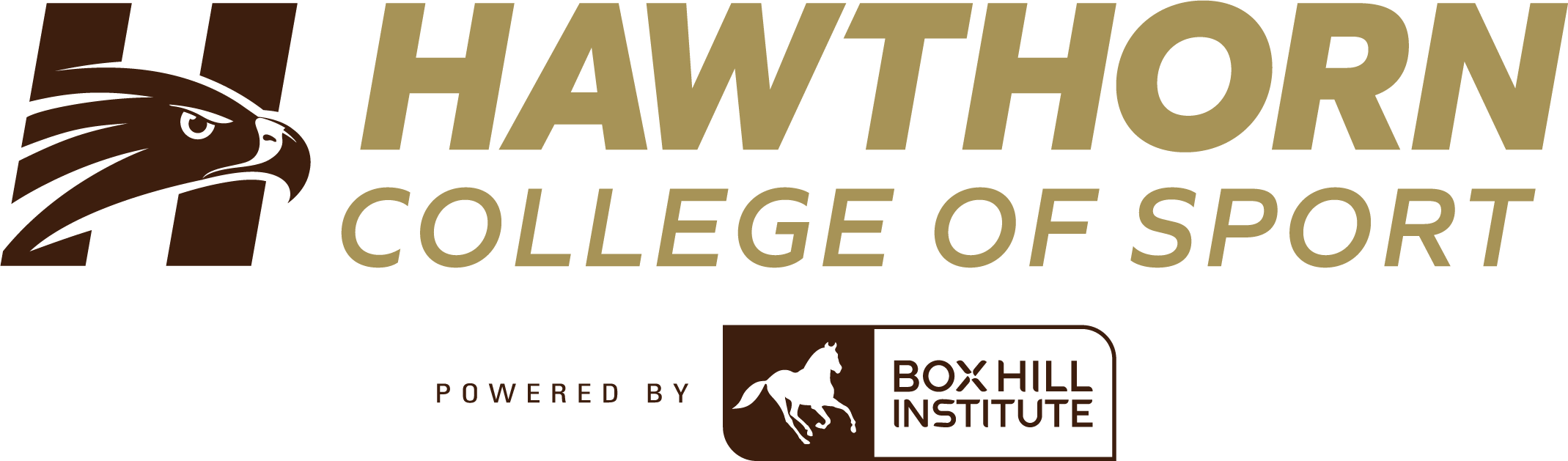 CAE and Learn Local Logos