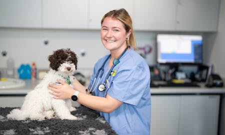 Discover Animal Care