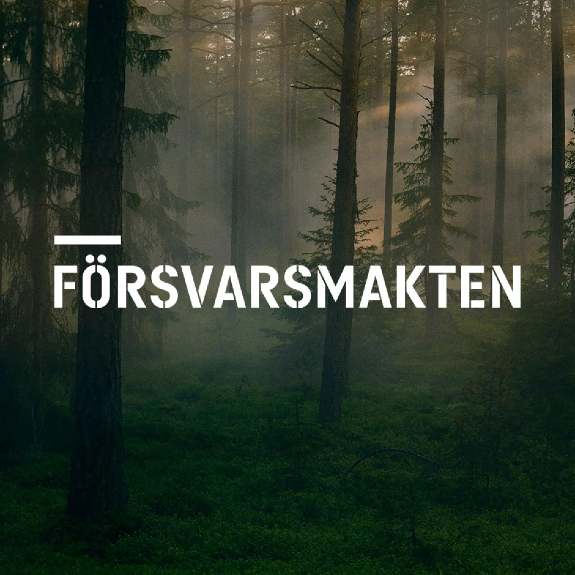 Short, impactful film for the Swedish Armed Forces, featuring soldiers participating in training exercises alongside ships, boats, airplanes, and a tank.