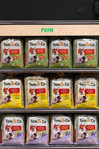 Tom&Co, branding, logo, design, store concept