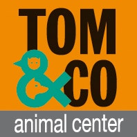 Tom&Co, branding, logo
