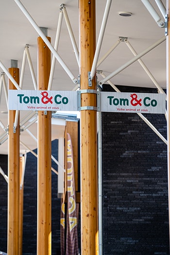 Tom&Co, branding, logo, design, store concept
