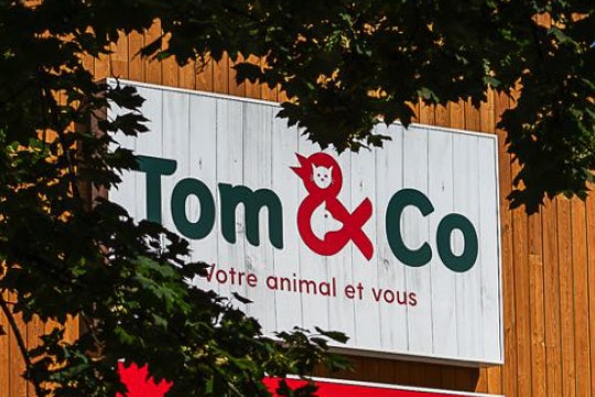 Tom & Co overview-10 ans de collaboration.