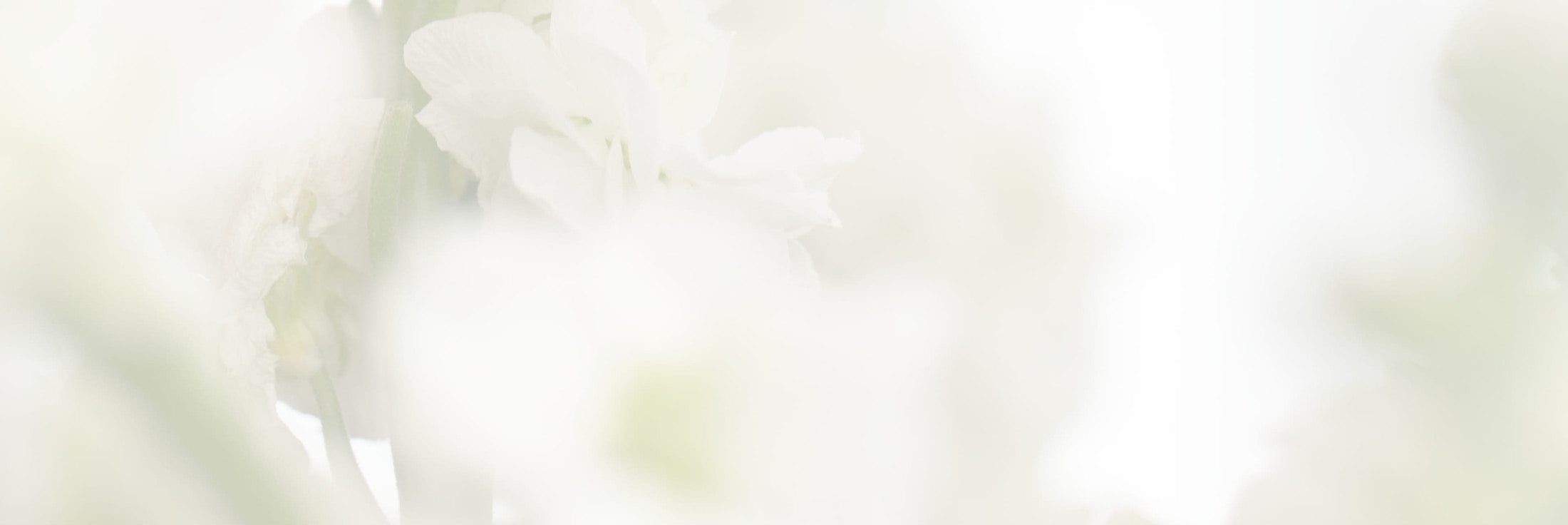 Banner media