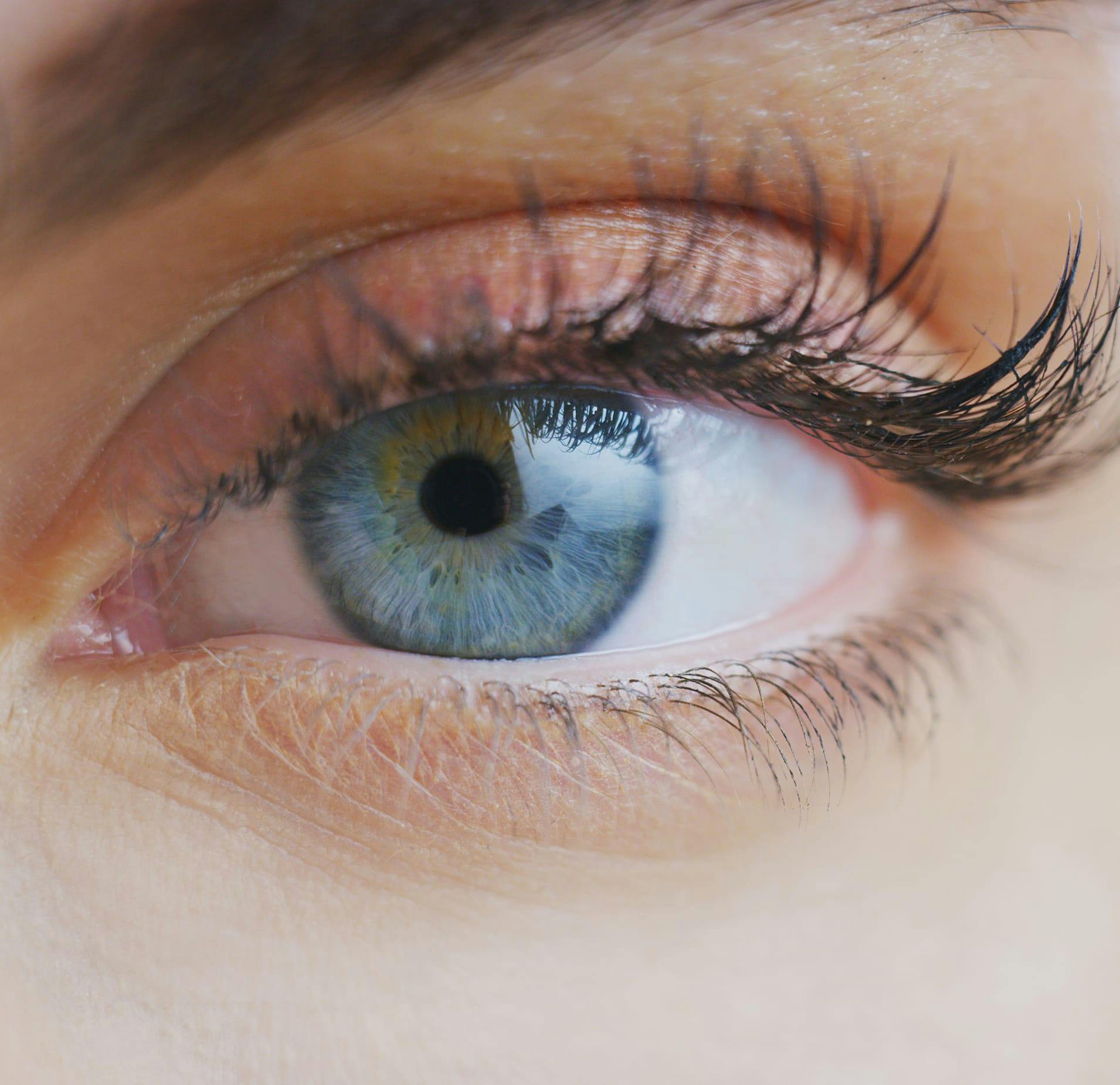 Close Up of an Eye