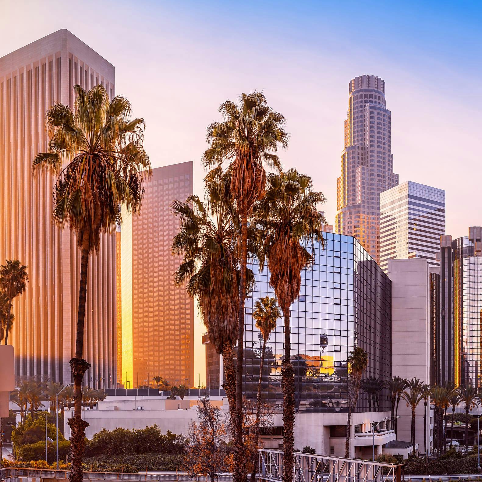 View of the Sunset in the City