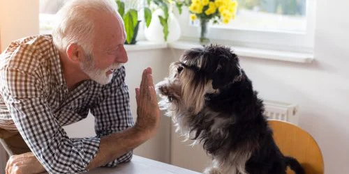 Older man high-fiving smaller dog