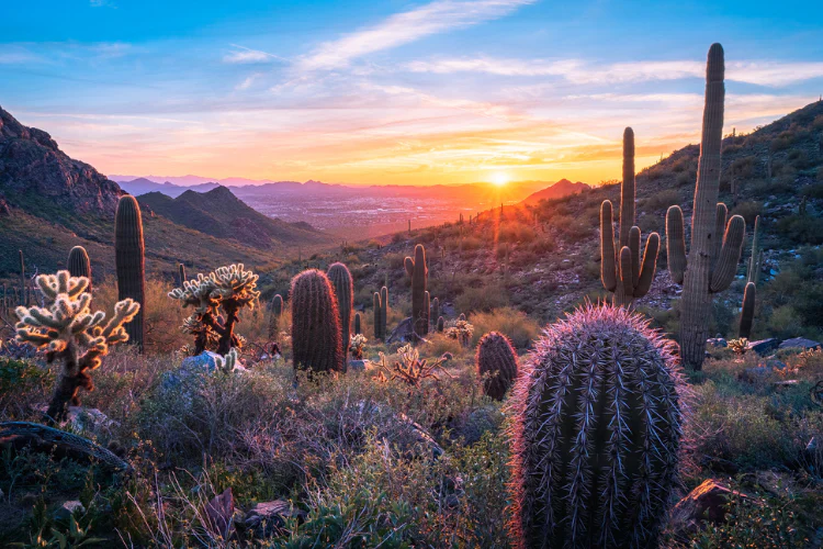 Arizona desert at sunset