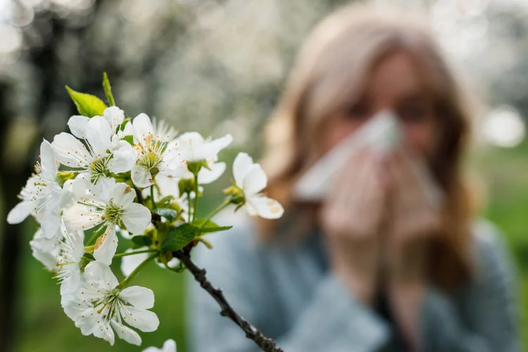 Flowers causing allergies