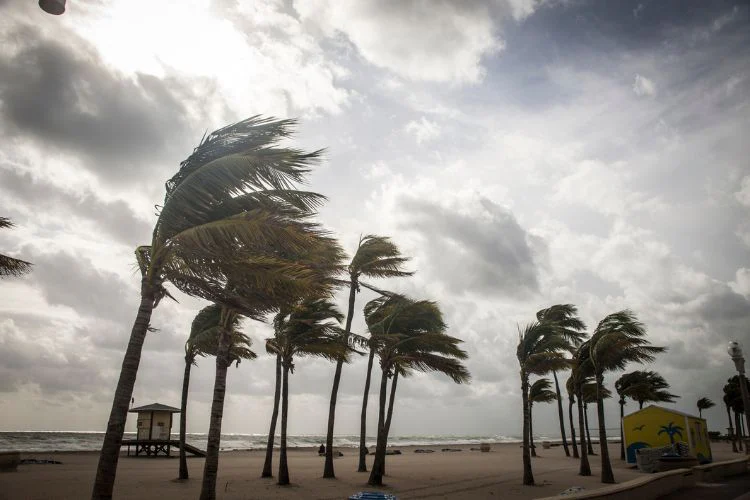 Hurricanes in Florida