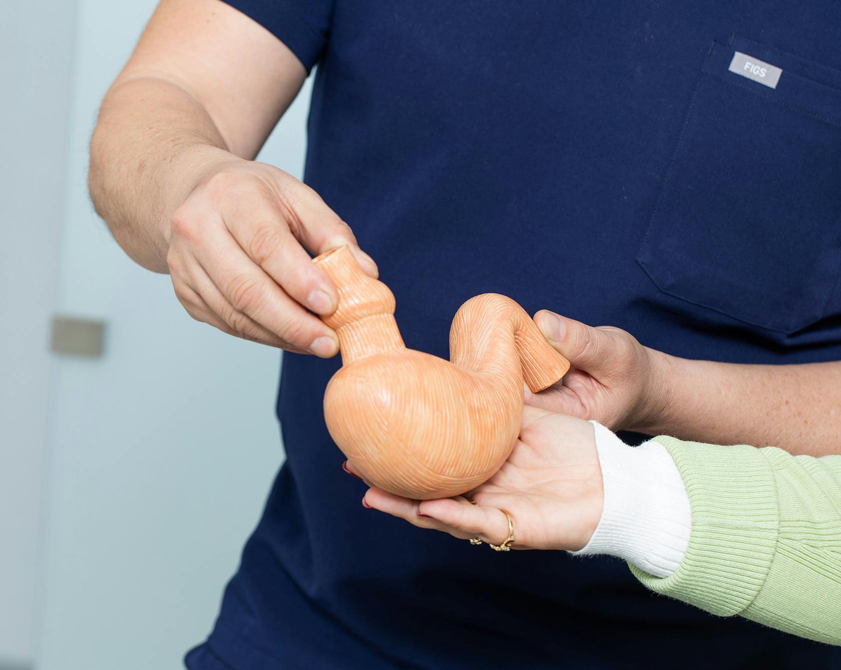 Doctor at Obesity Control Center holding a model of a stomach