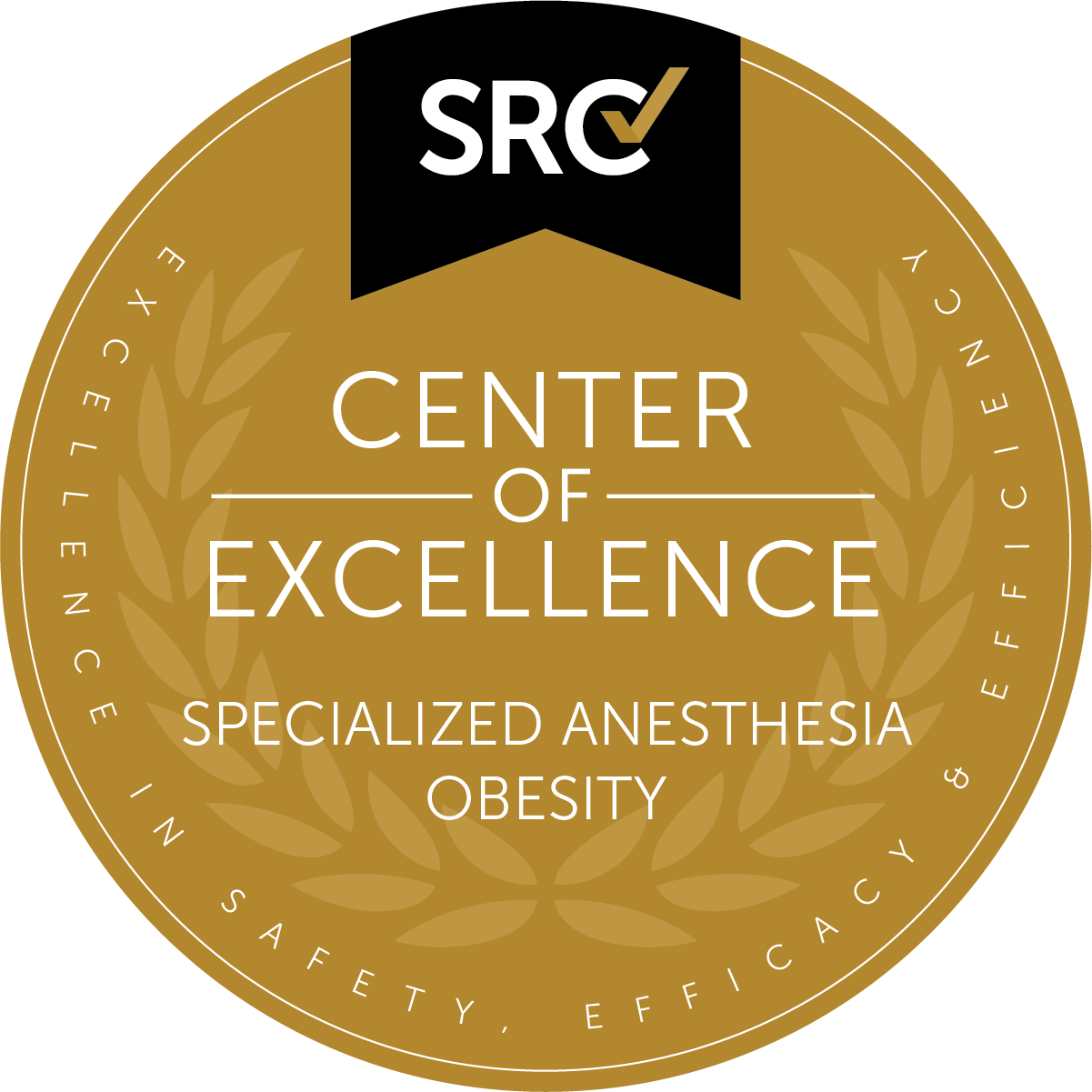 Center of Excellence in Specialized Anesthesia - Obesity (SRC)