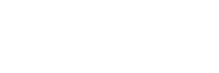 Platinum S P