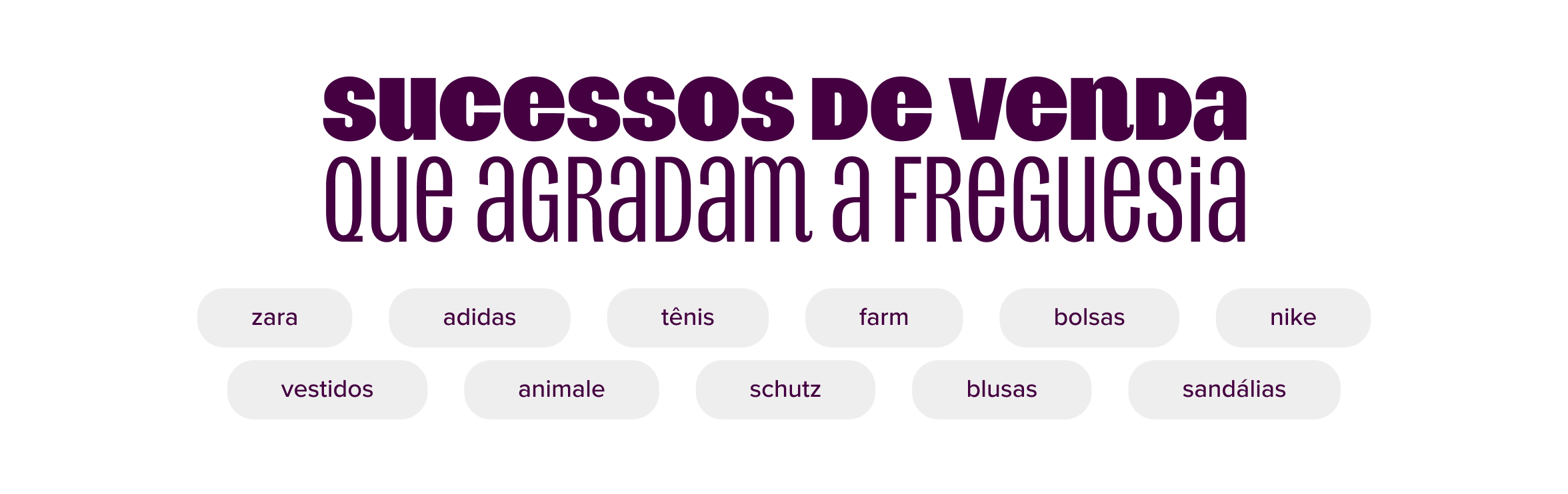 imagem  só com texto. sendo o título: sucessos de venda que agradam a freguesia. abaixo, destaca-se: zara, adidas, tênis, farm, bolsas, nike, vestidos, animale, schutz, blusas, sandálias.