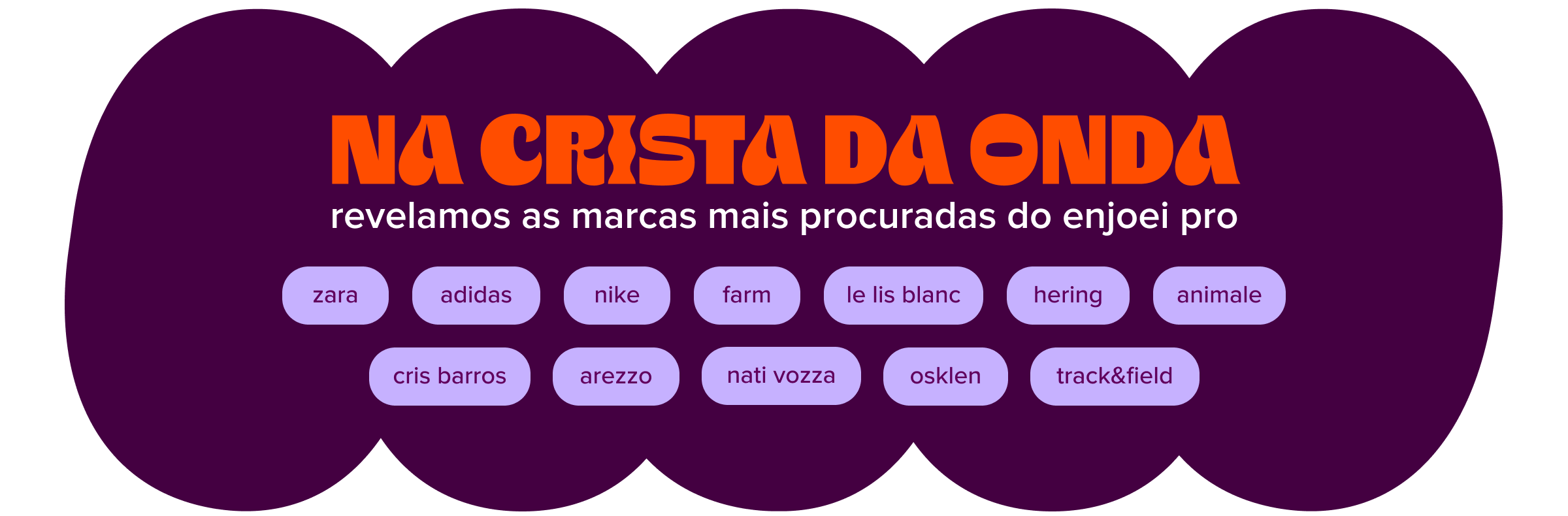 texto: na crista da onda revelamos as marcas mais procuradas do enjoei pro  zara | adidas | nike | farm | le lis blanc | hering | animale | cris barros | arezzo | nati vozza | osklen | track&field