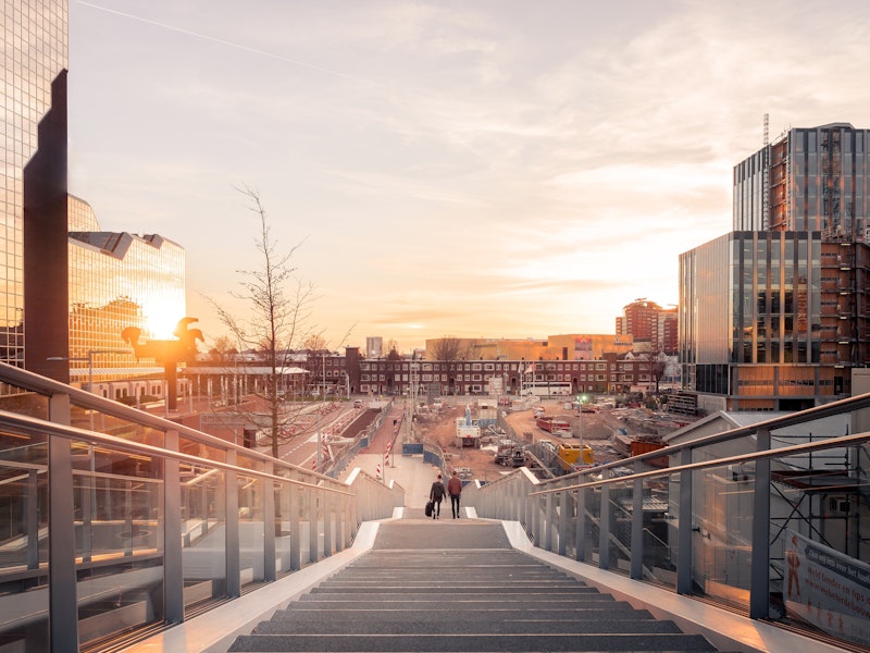 why dutch organizations prefer SAP Ariba