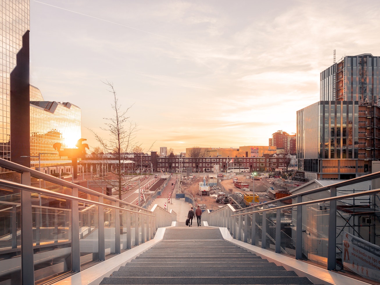 why dutch organizations prefer SAP Ariba