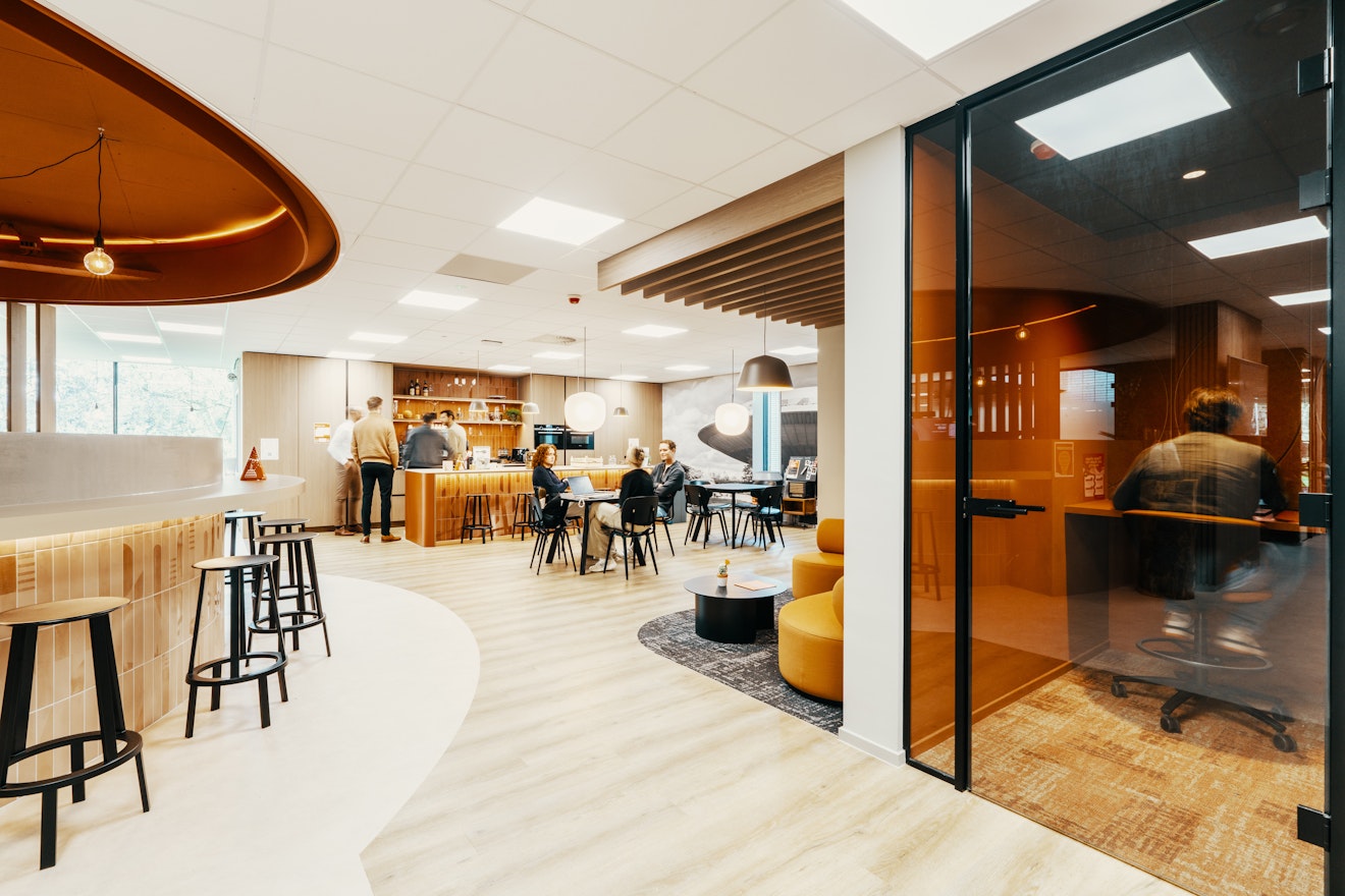 mccoy office