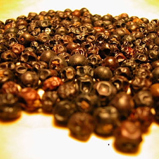 Open «Juniper» Thumbnail of the picture «Juniper»