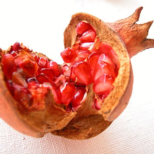 Open «The King» Thumbnail of the picture «The King»