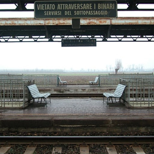 Open «The competition» Thumbnail of the picture «The competition»