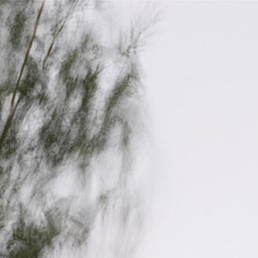 Open «Wind» Thumbnail of the picture «Wind»