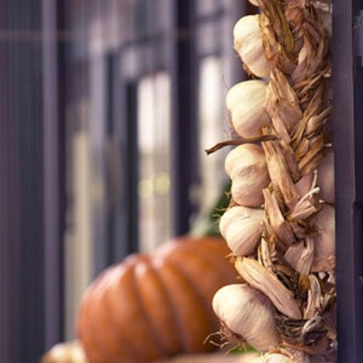 Open «Garlic» Thumbnail of the picture «Garlic»