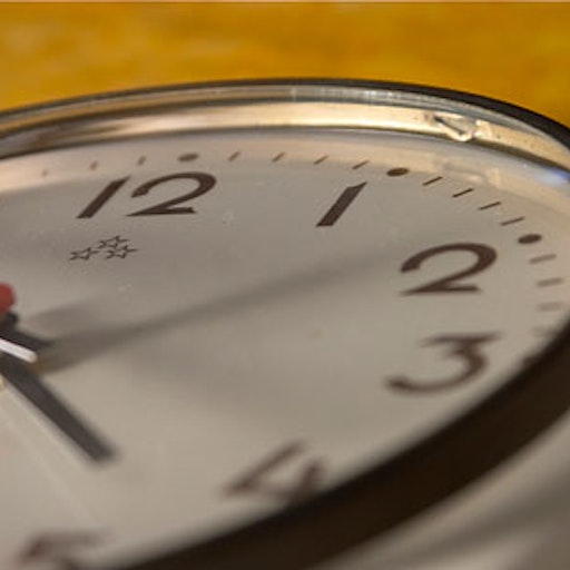 Miniatura della fotografia successiva