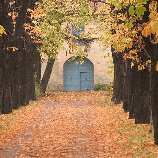 Miniatura della fotografia «Autumn»