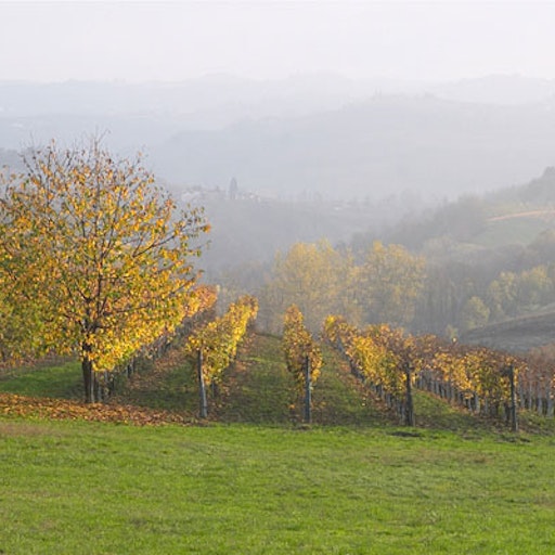 Open «Another autumn» Thumbnail of the picture «Another autumn»