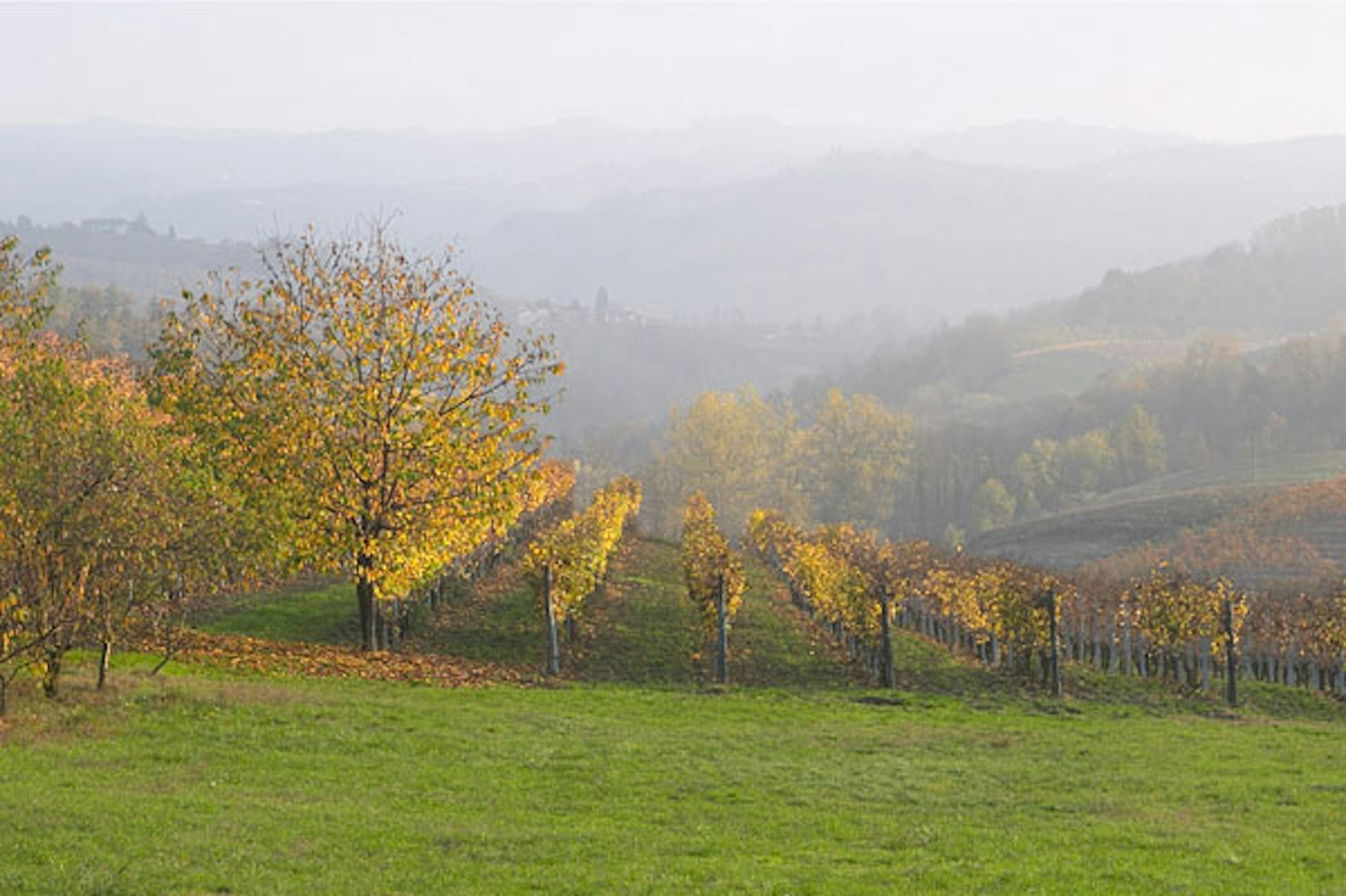 Un altro autunno